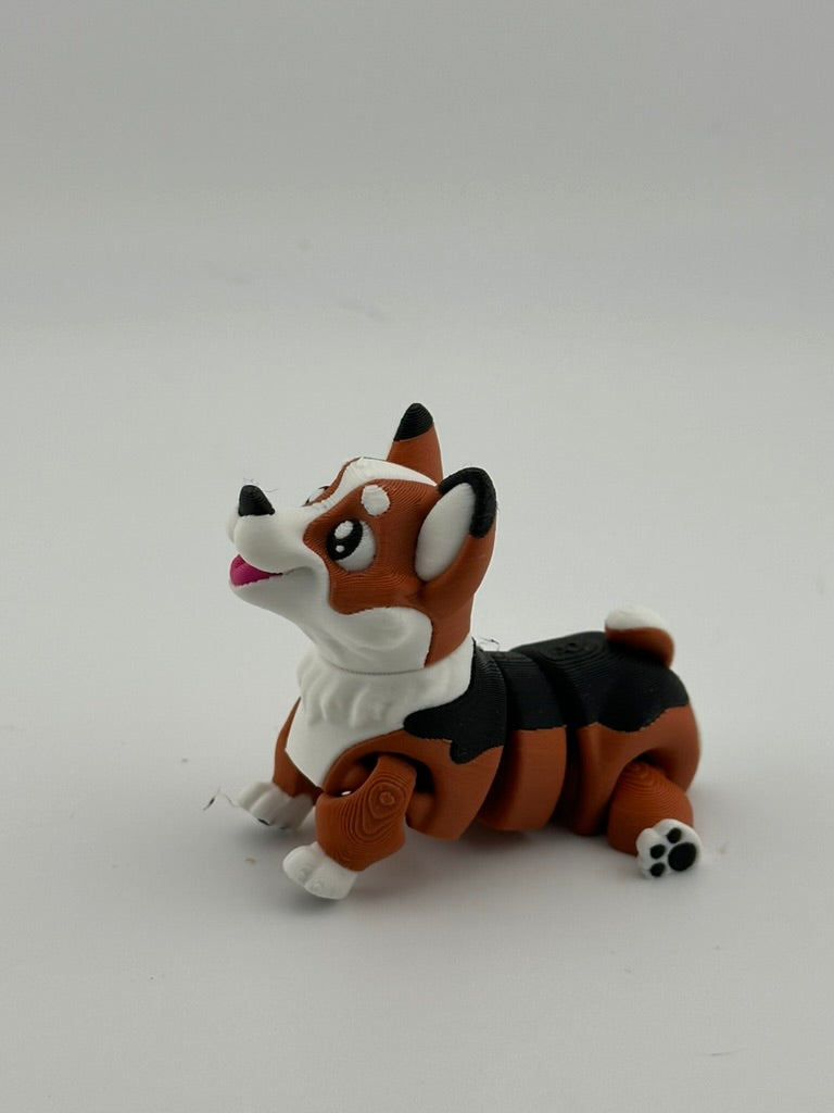 Corgi Dog
