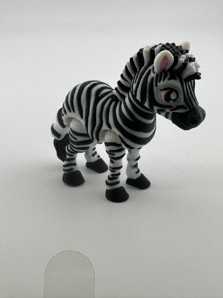 Zebra