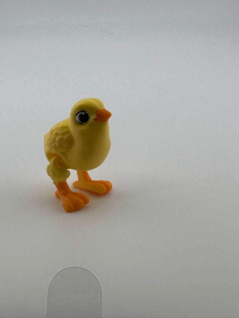 Chick