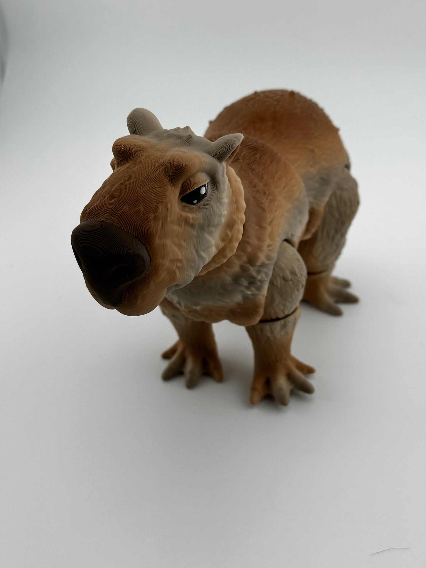 Capybara