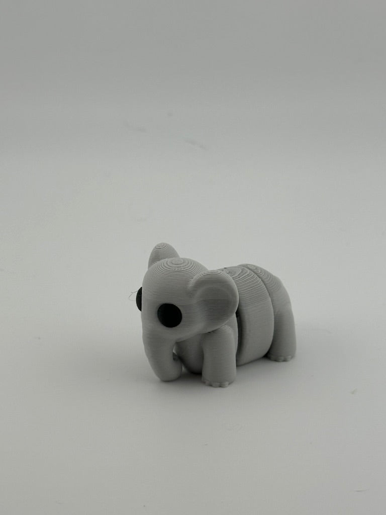 Baby Elephant