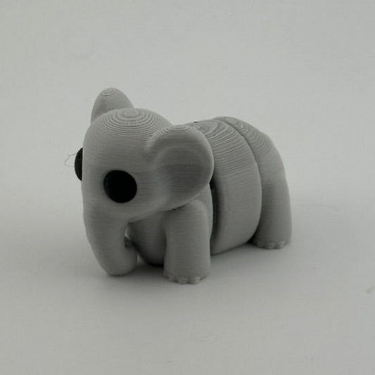 Baby Elephant