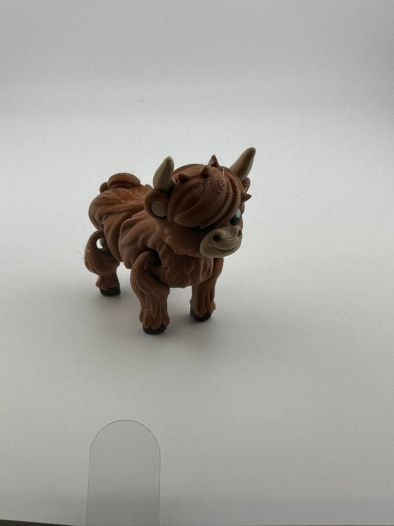 Highland Cow