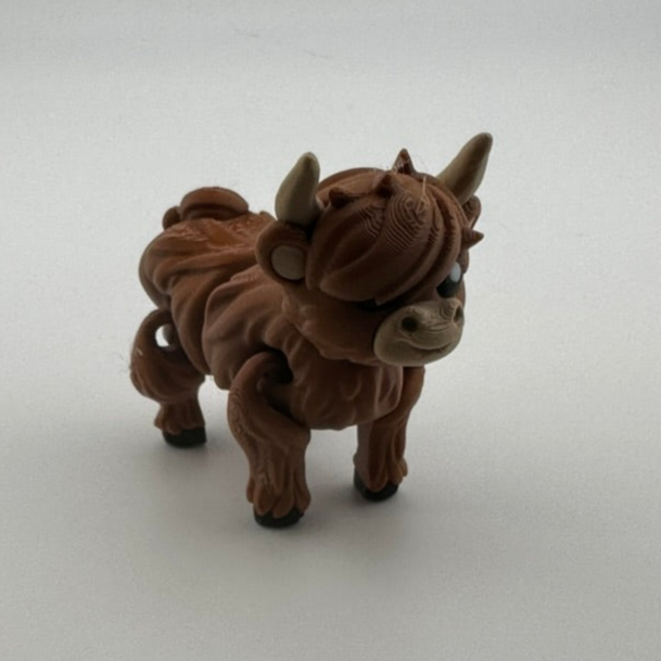 Highland Cow