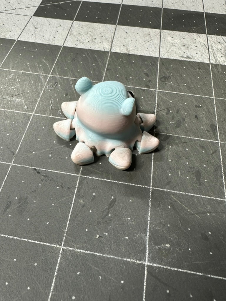 Mini Dumbo Octopus