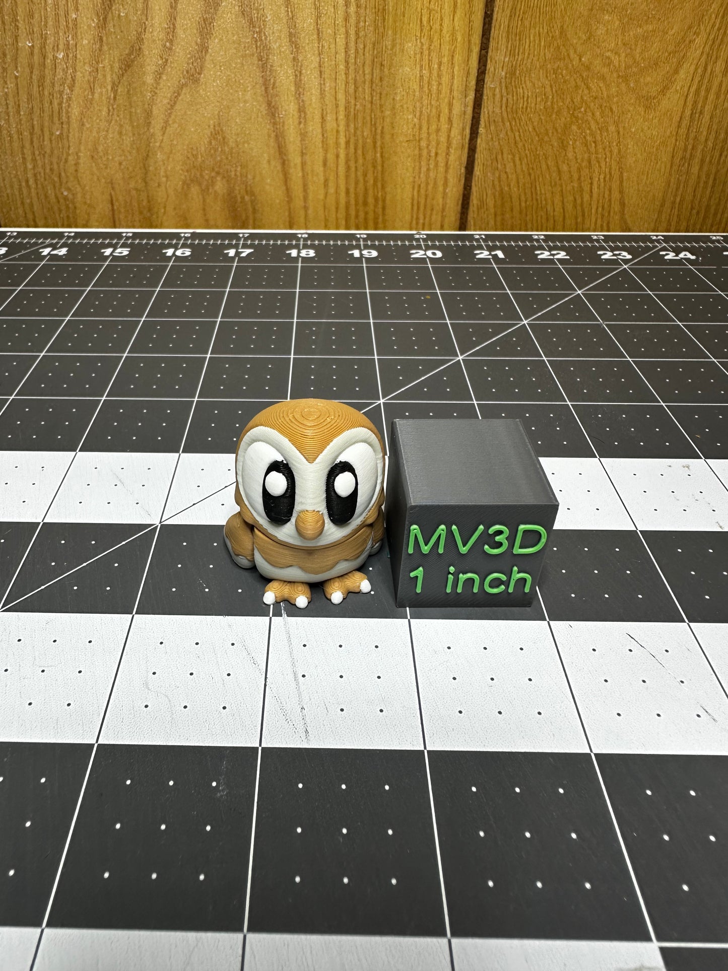 Barn Owl