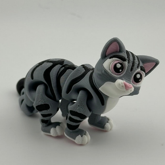 Tabby Cat