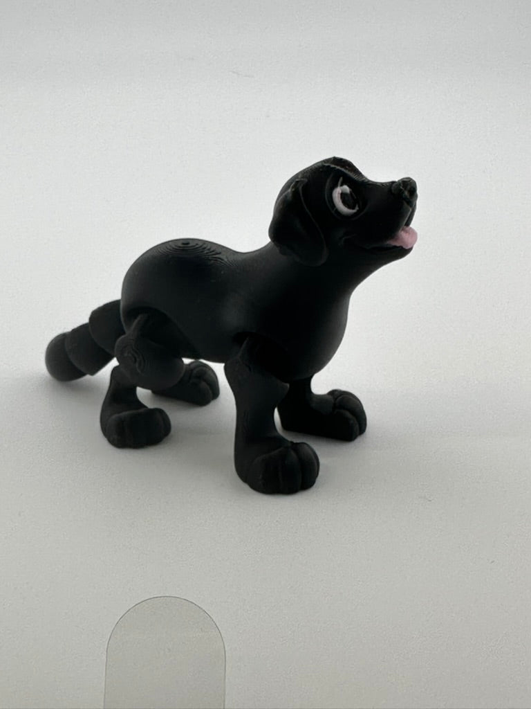 Black Lab Dog