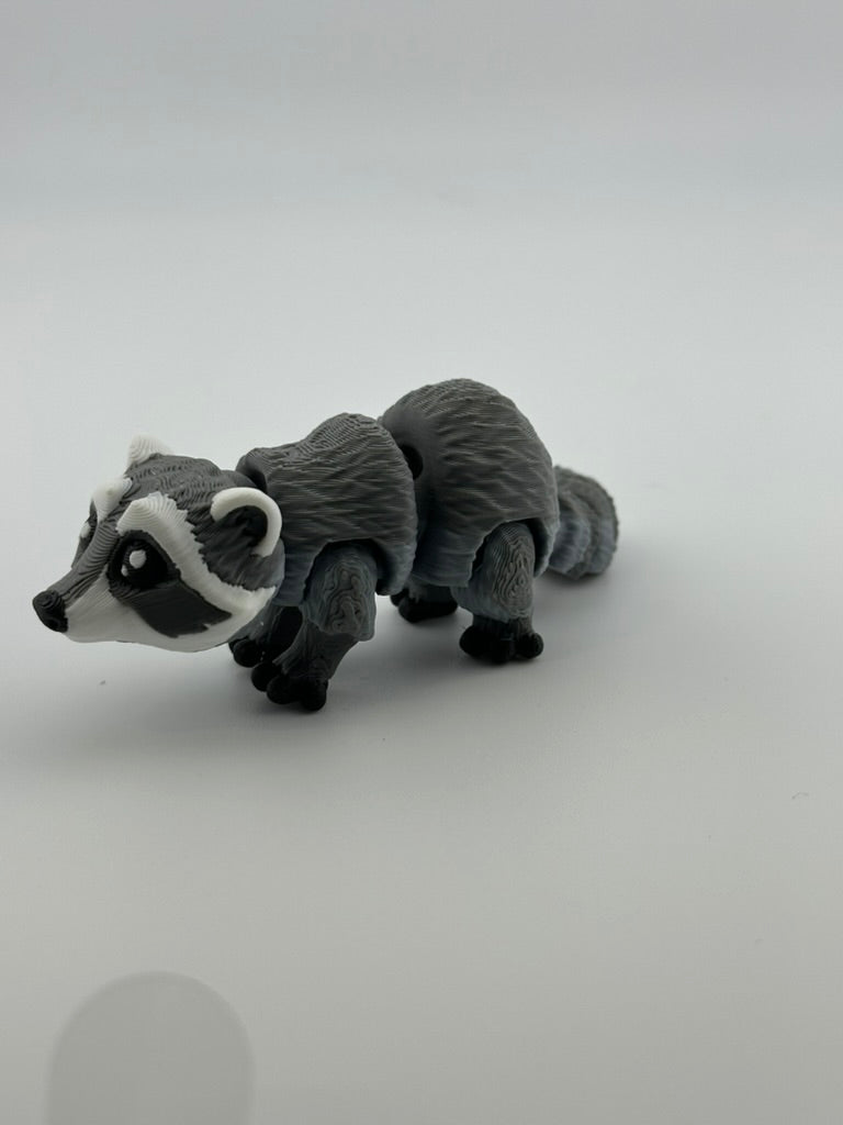 Raccoon