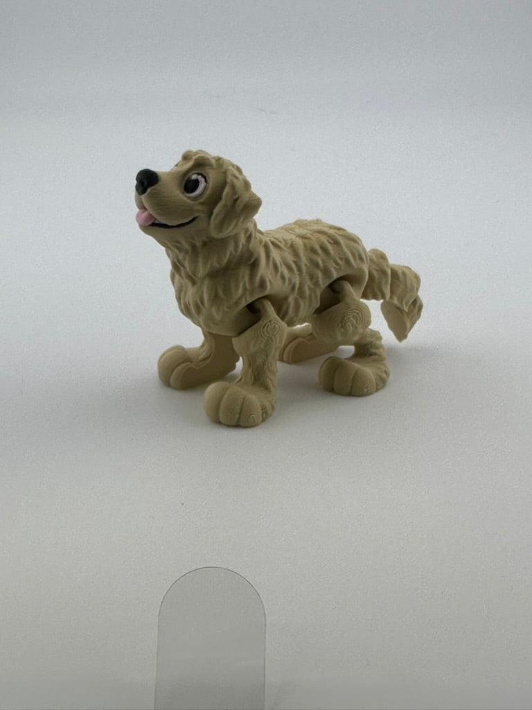 Golden retriever dog