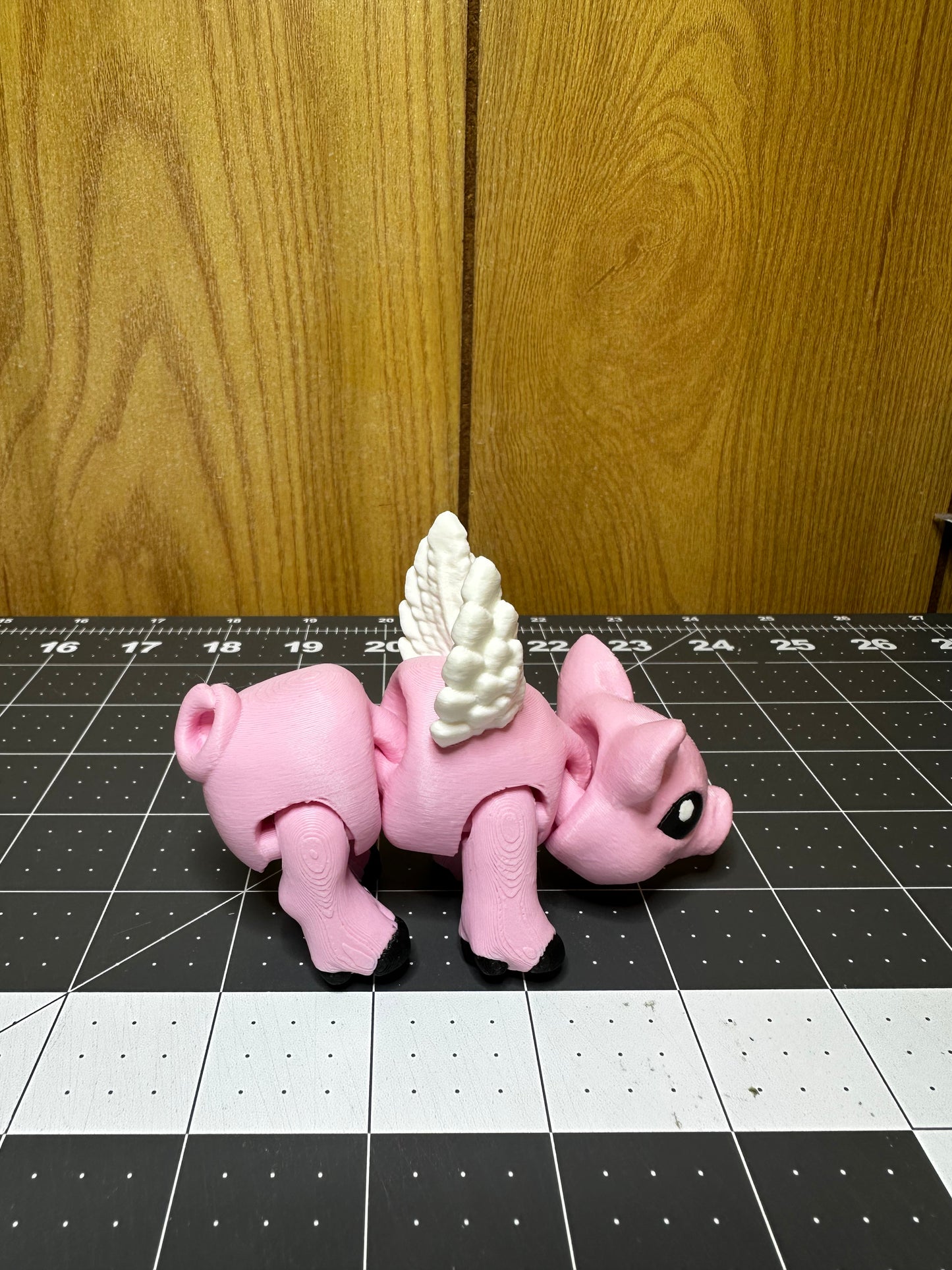 Flying Pig