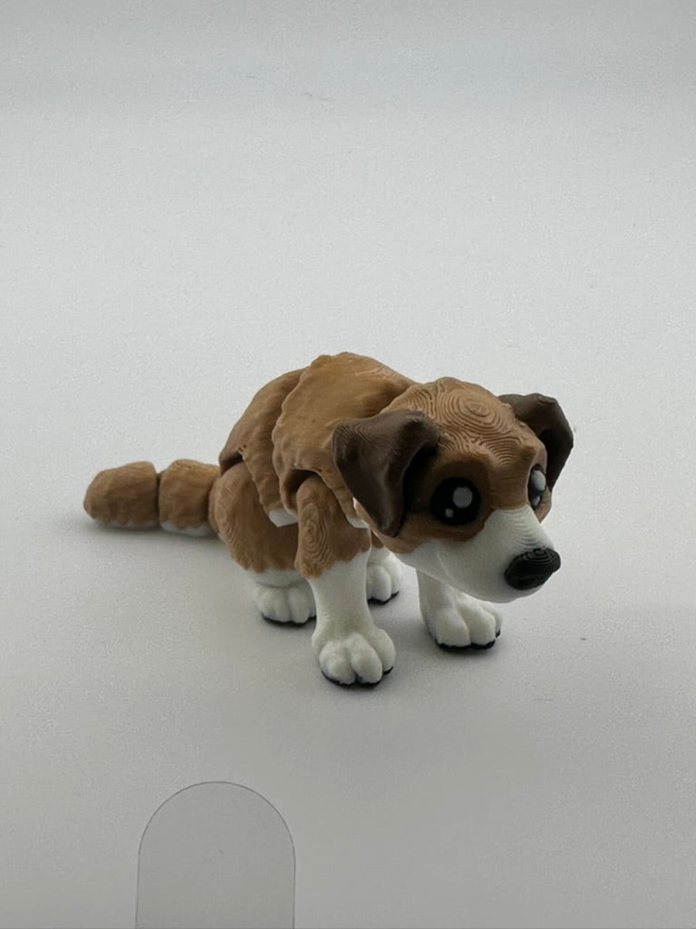 Heinz 57 Dog (mixed breed)
