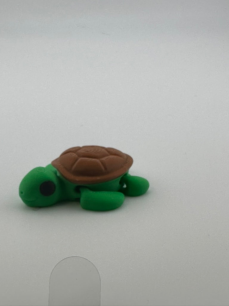 Turtle