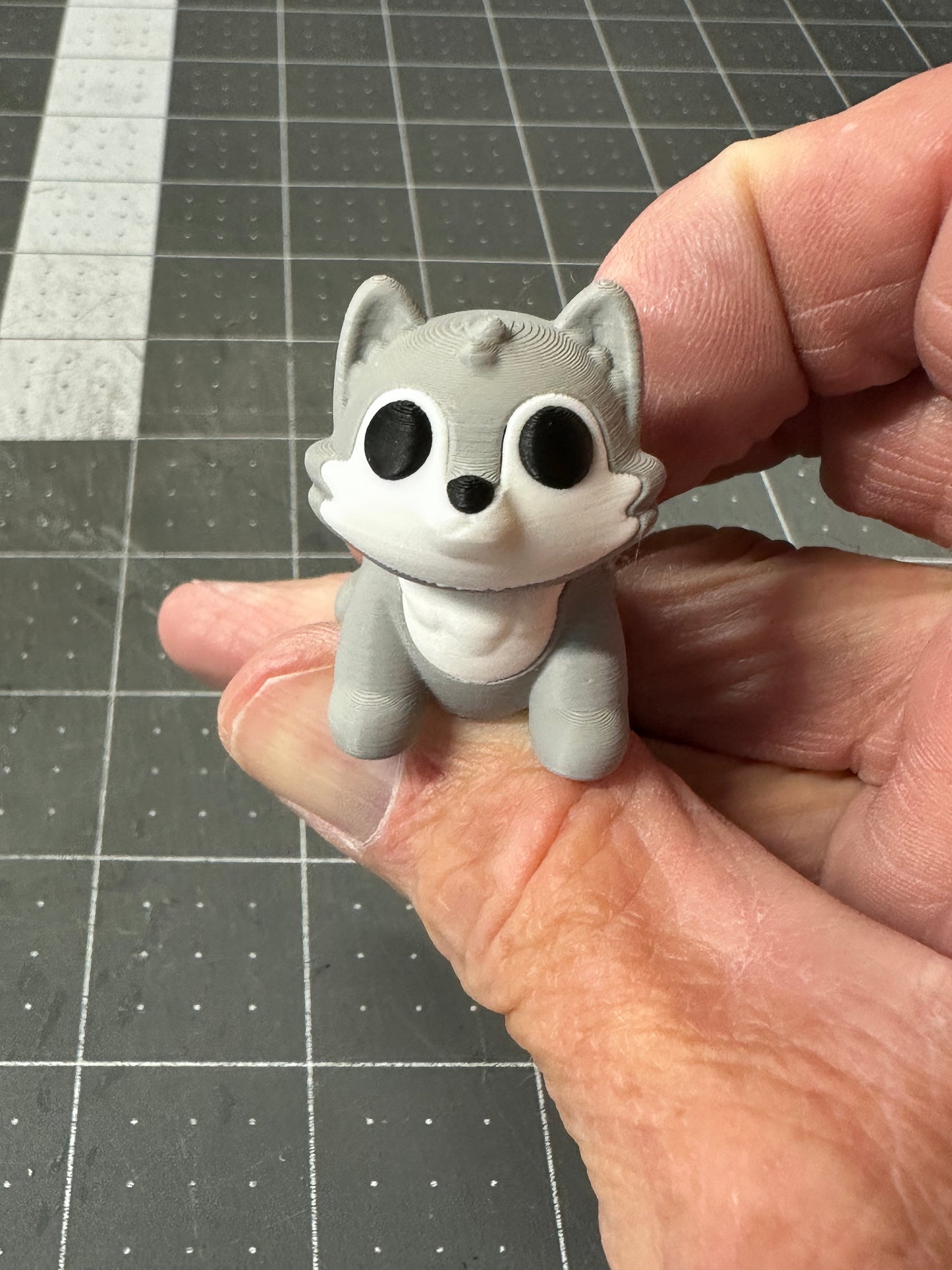 Baby Wolf