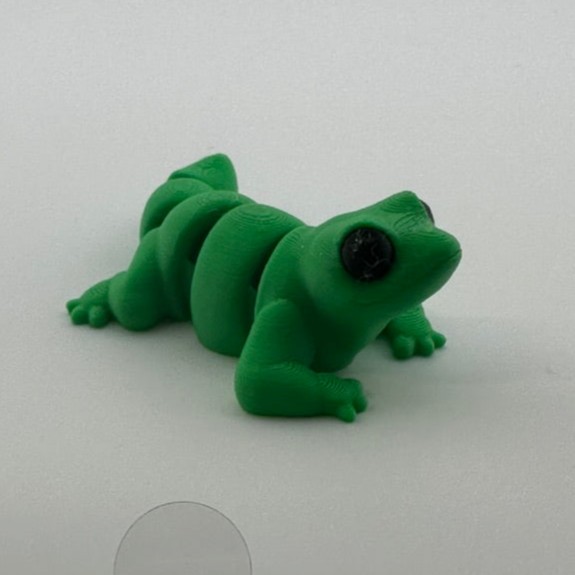Lizard