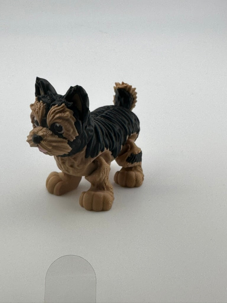 Yorkie Dog (perky ears)