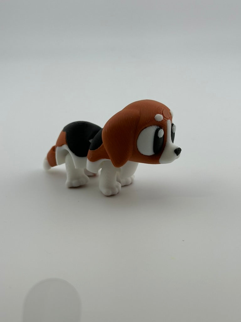 Beagle Dog