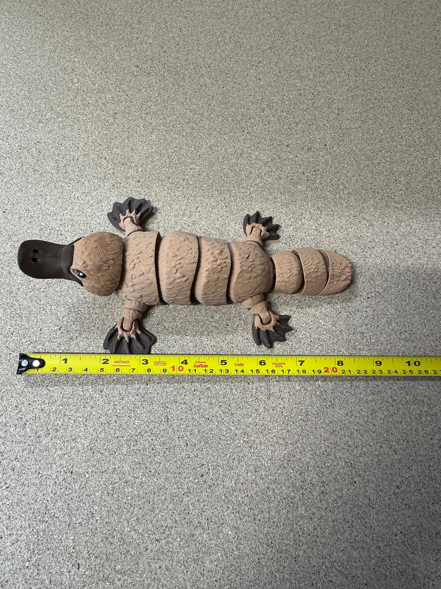 Large Platypus