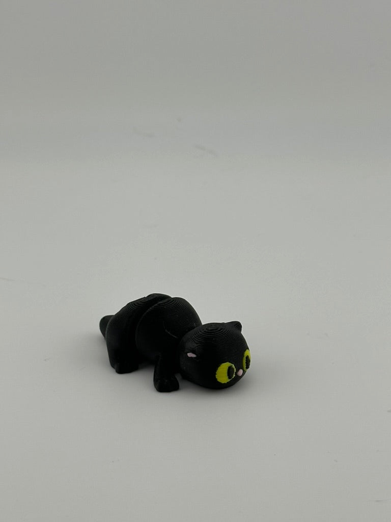 Tiny Shadow Kitten