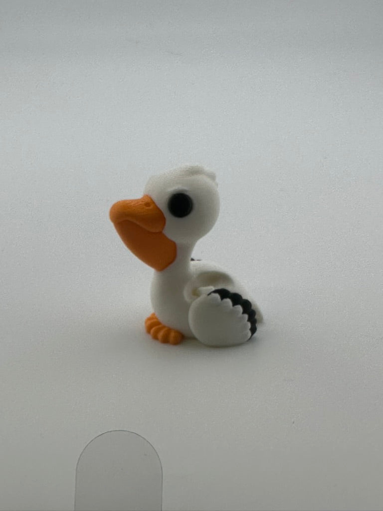 Pelican Perched (sitting)