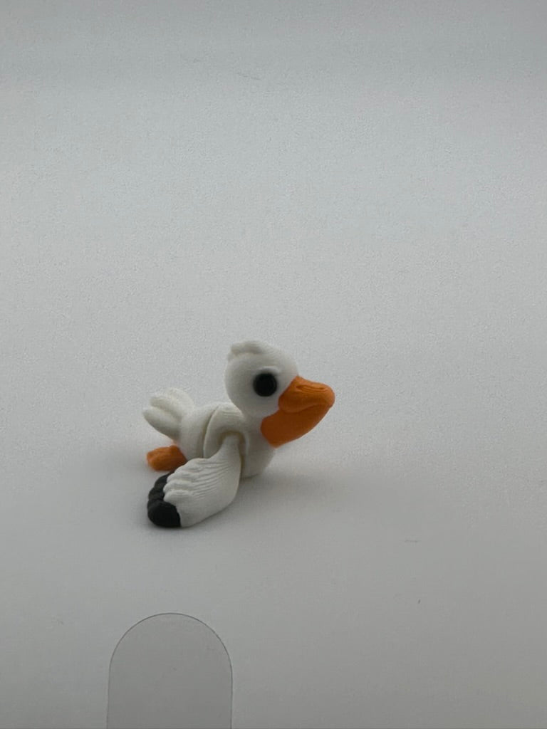 Pelican Flying