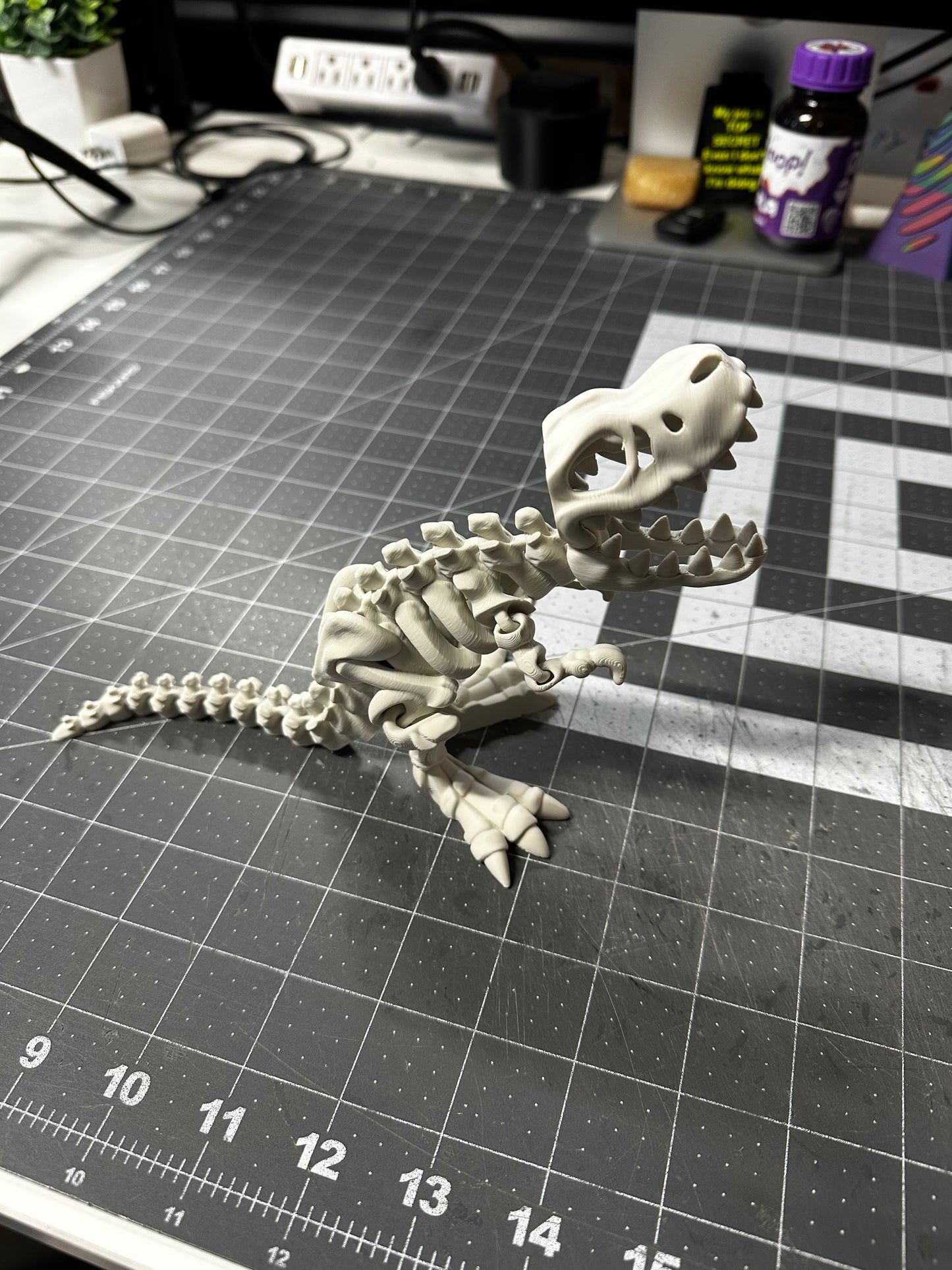 Flexi T-Rex Skeleton