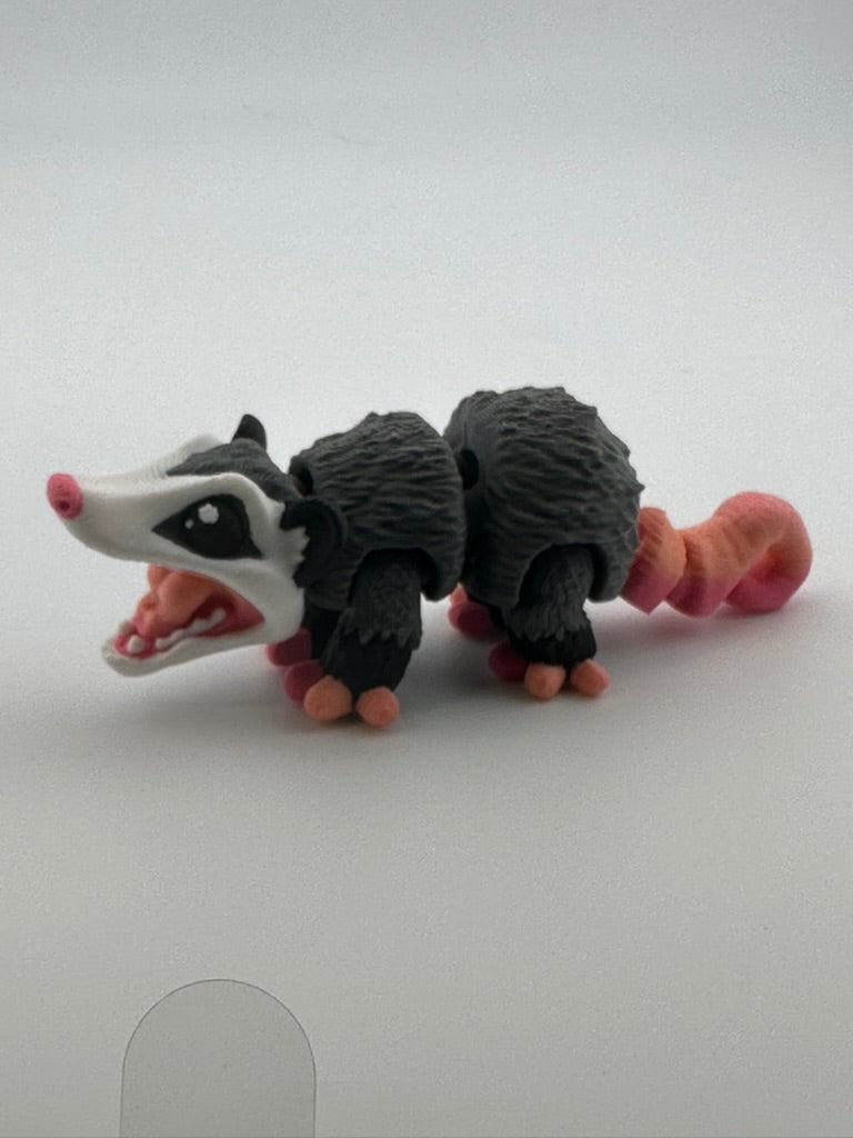 Possum Curved Tail