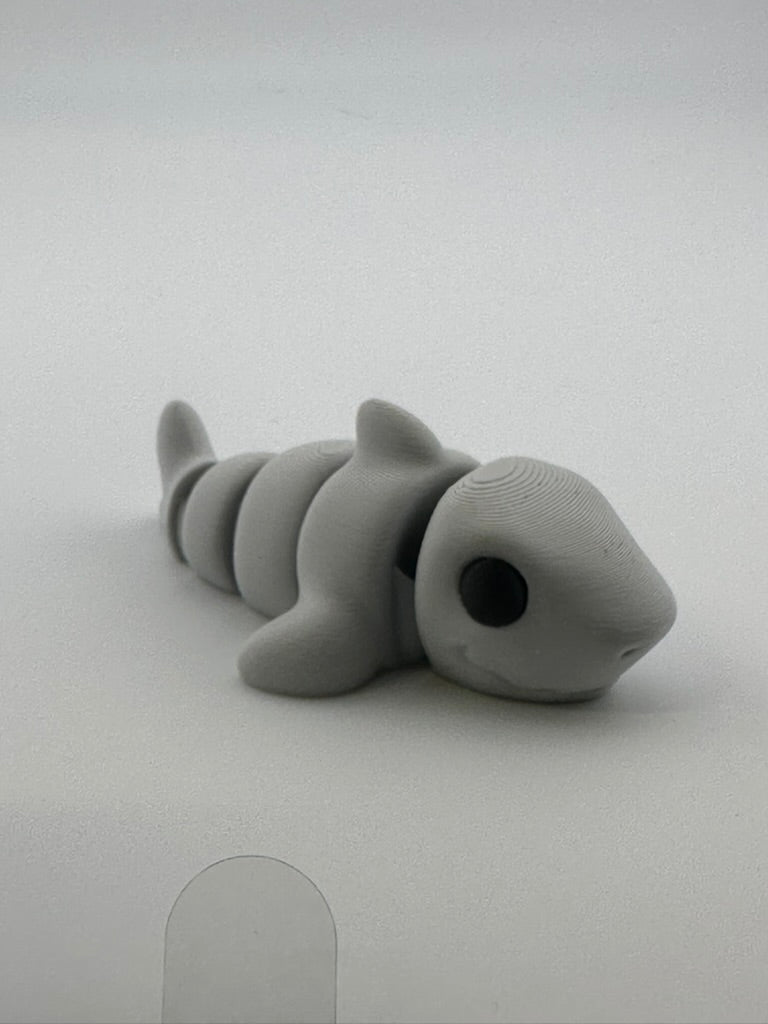 Shark