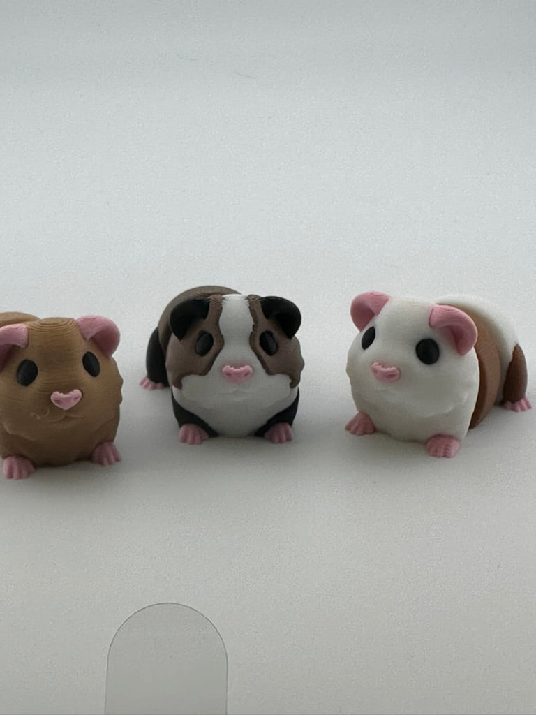 Guinea Pigs (Assorted Colors)