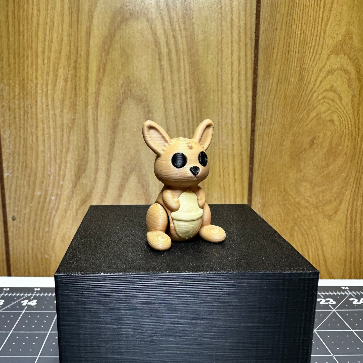 Kangaroo