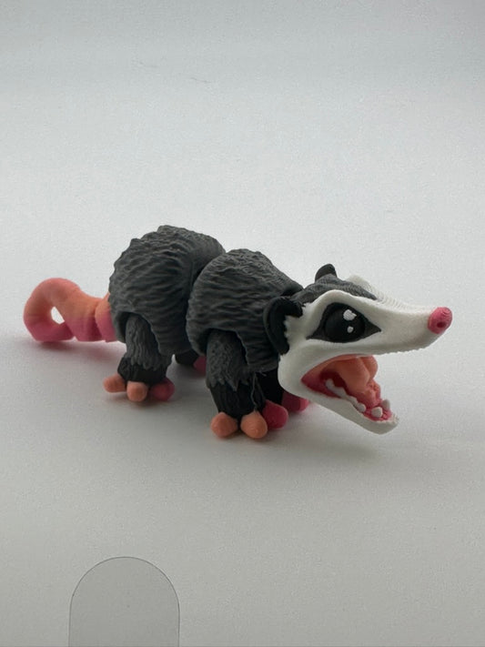 Possum Curved Tail