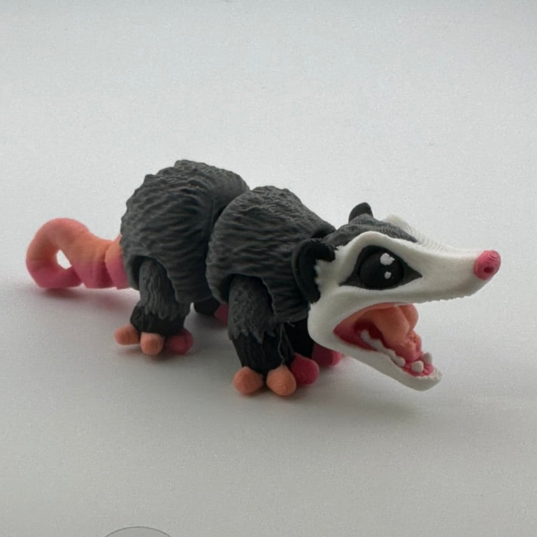Possum Curved Tail