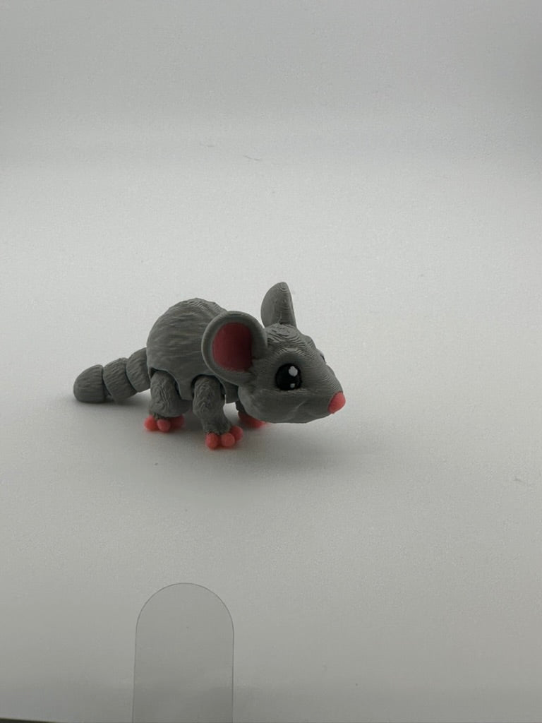 Mouse