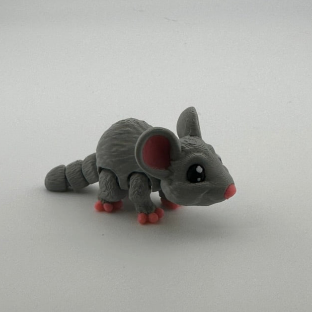 Mouse