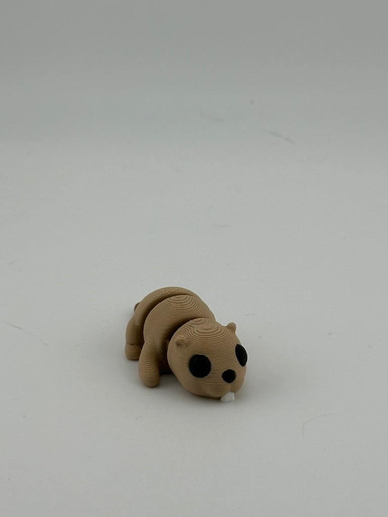 Beaver