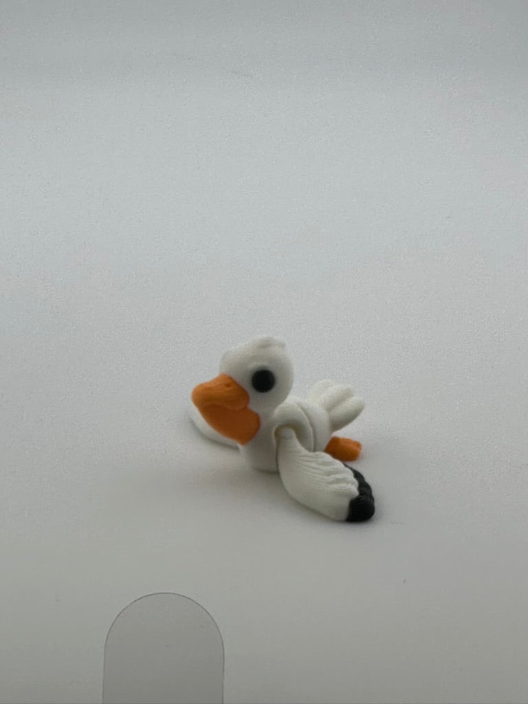Pelican Flying