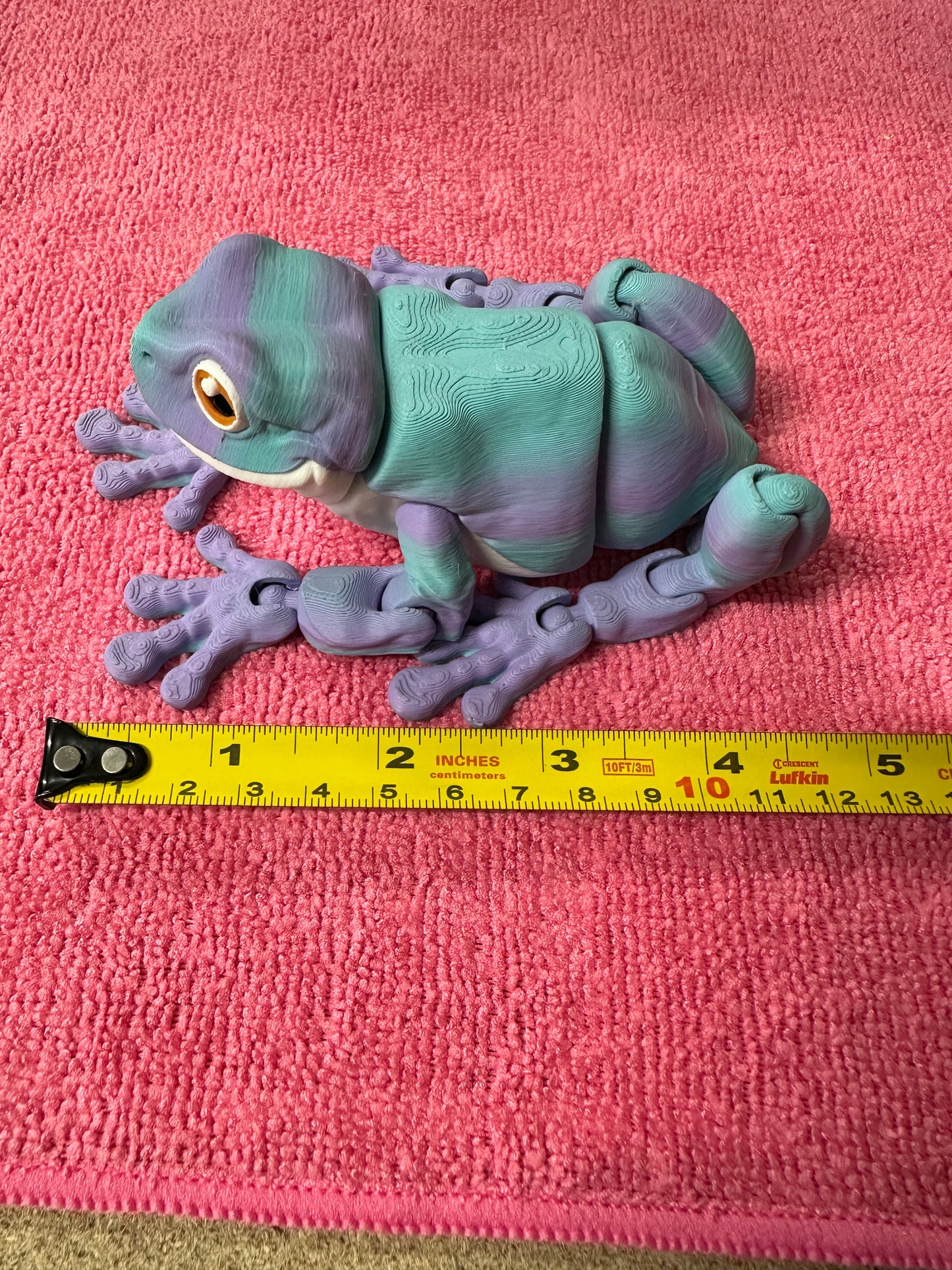 Tree Frog