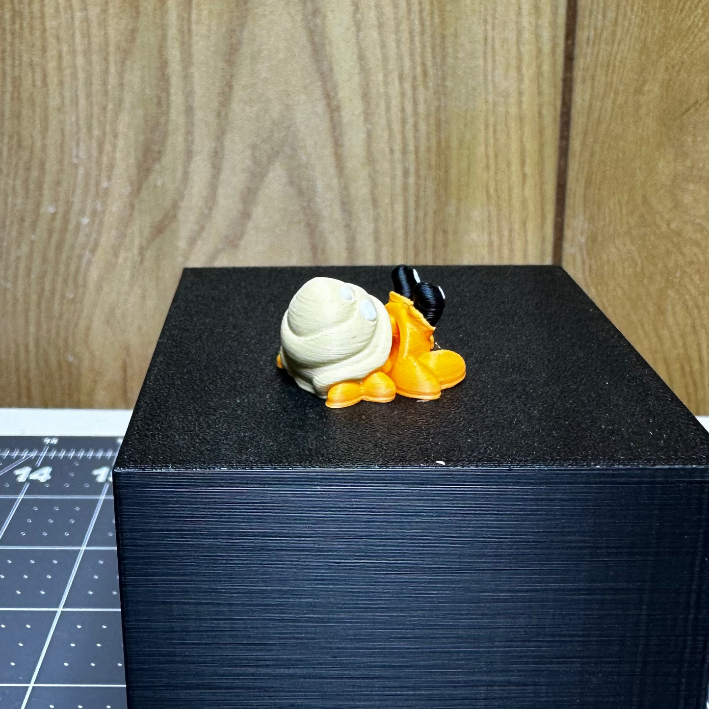 Mini Hermit Crab