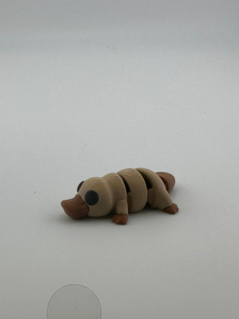 Baby Platypus