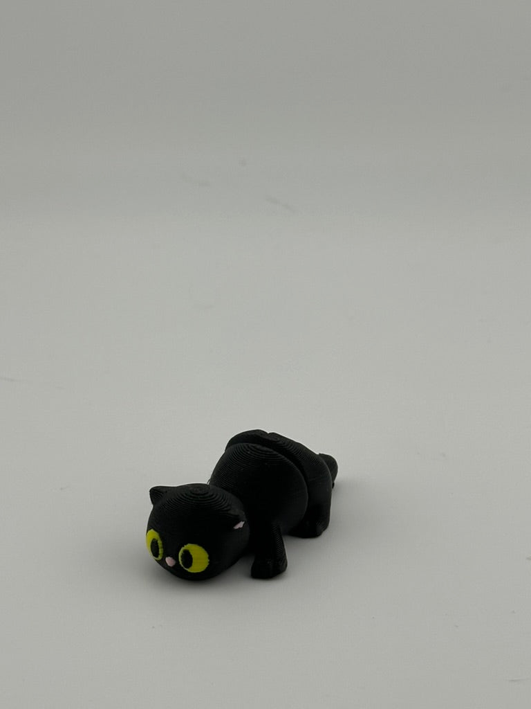 Tiny Shadow Kitten