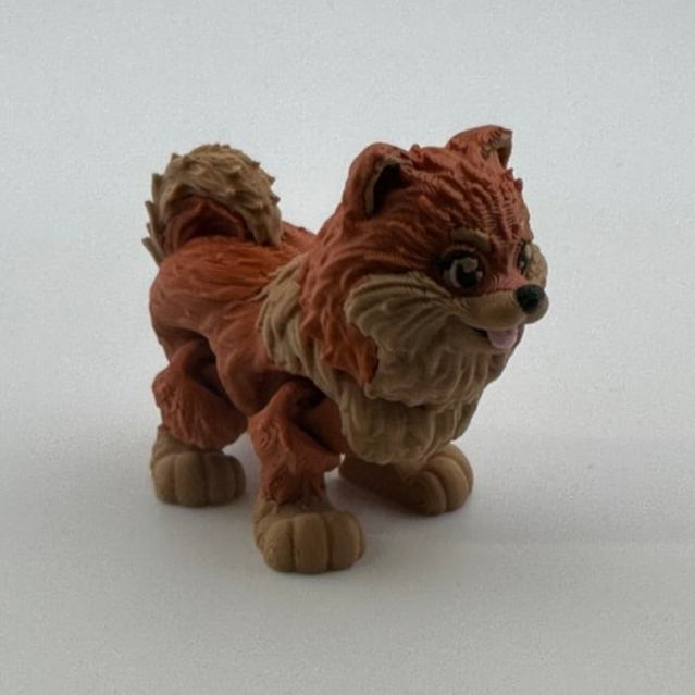 Pomeranian Dog