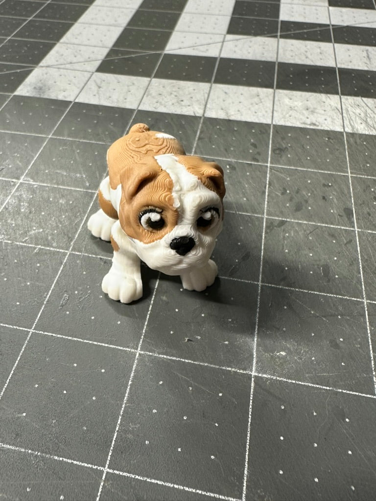 Bulldog Dog