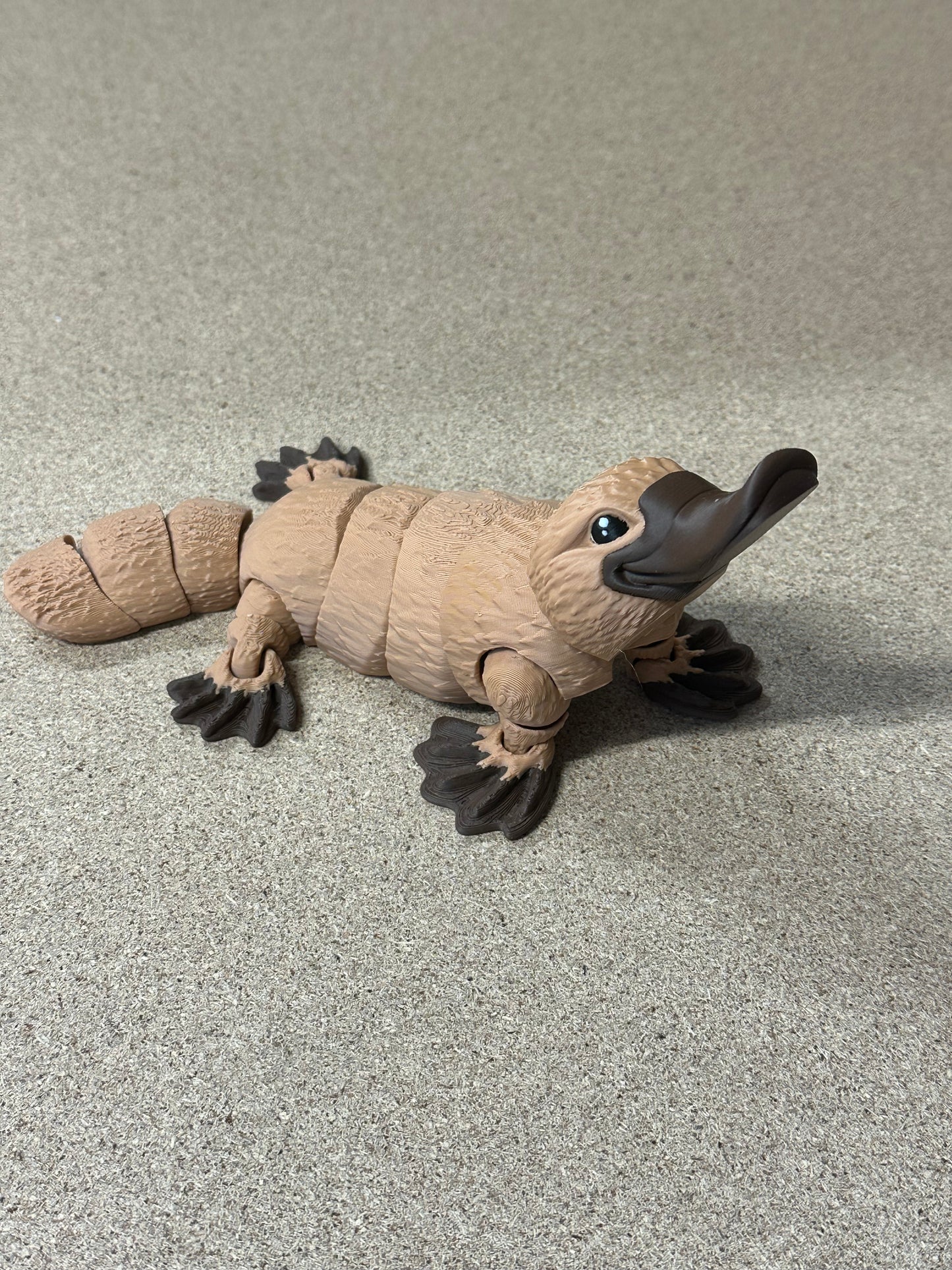Large Platypus