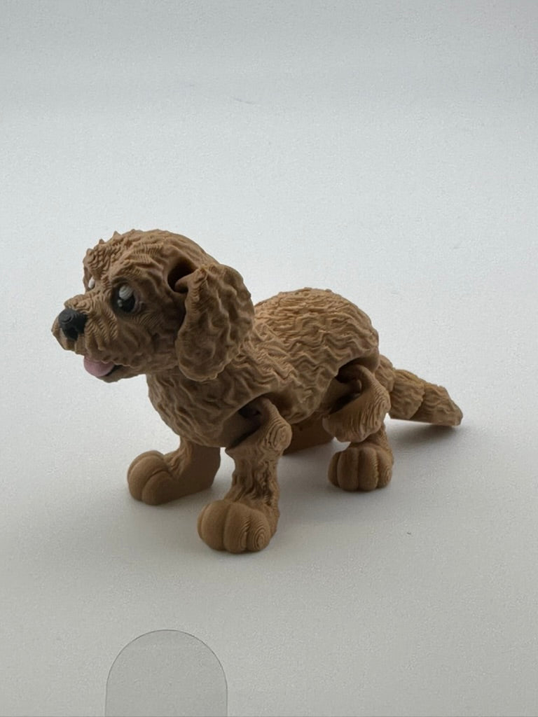 Doodle Dog