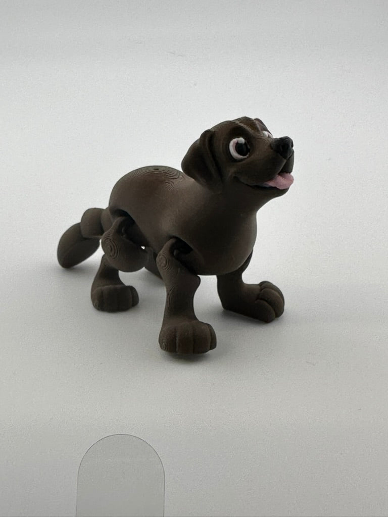 Chocolate Lab Dog