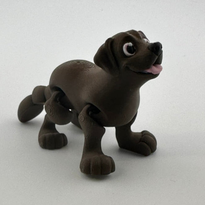 Chocolate Lab Dog