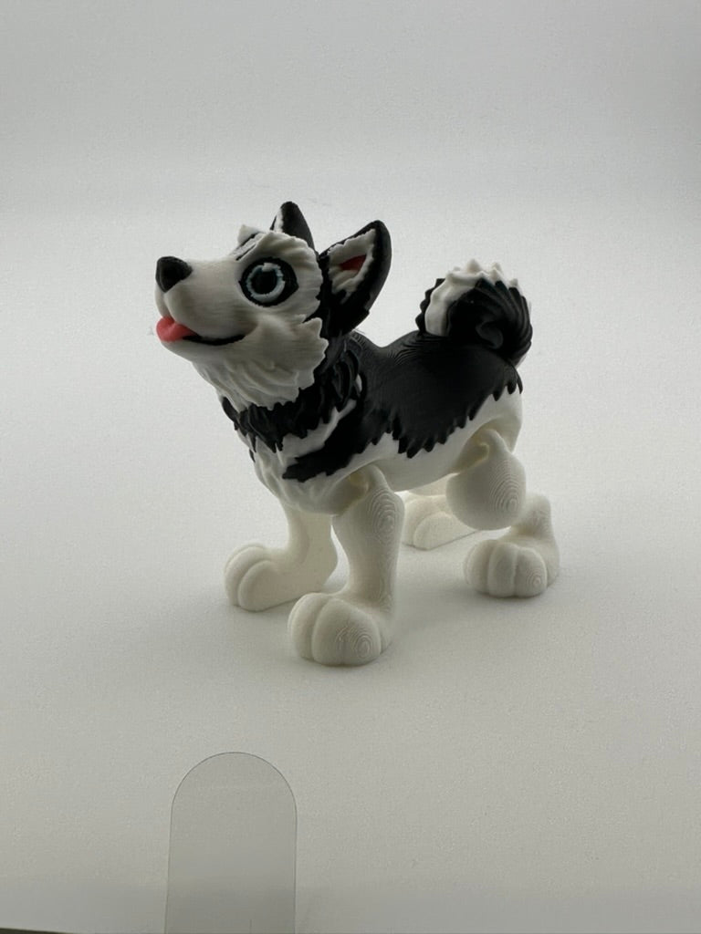 Husky Dog