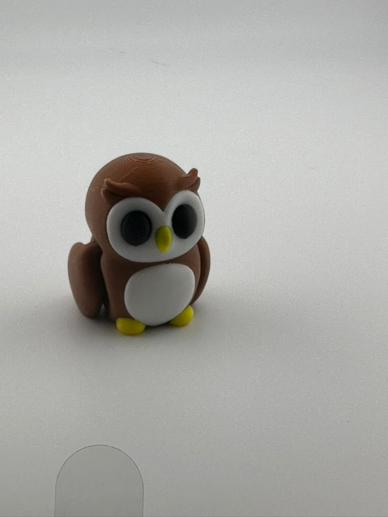 Owl