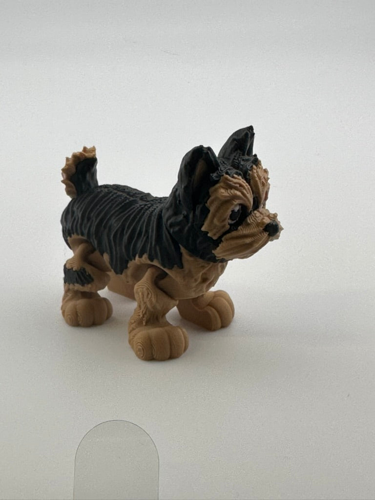 Yorkie Dog (perky ears)