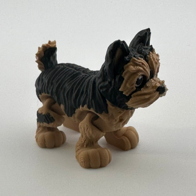 Yorkie Dog (perky ears)